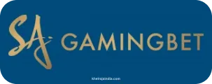 Gaming Bet Payment Partner